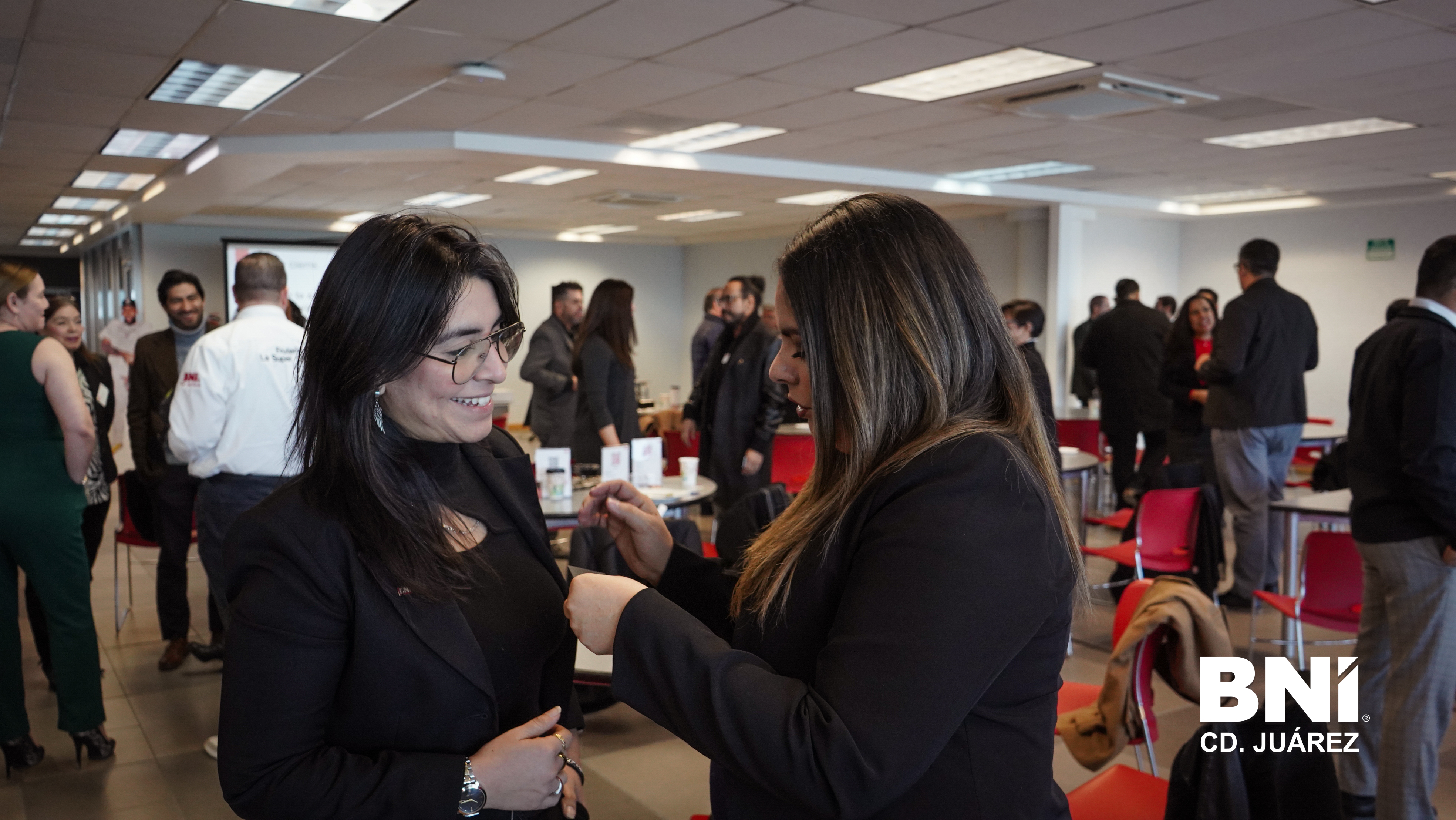 Tere Pujula - Red profesional